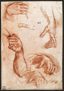 Estudio de manos de Andrea del Sarto