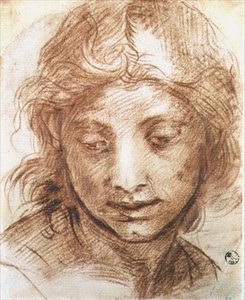 Estudio de la cabeza de una joven de Andrea del Sarto