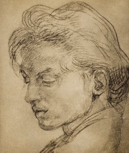 Cabeza viril de perfil