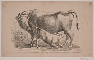 La vaca y el ternero de Andreas Flinch