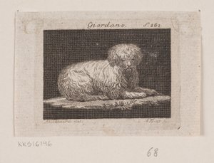 Giordano, un perro acostado