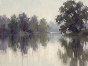Reflejos brumosos del río