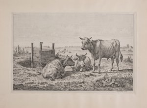 Danés: Un toro y dos vacas de Andreas Peter Madsen