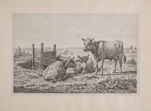 Un toro y dos vacas de Andreas Peter Madsen