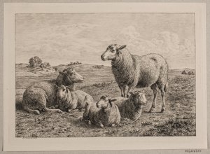 Ovejas y corderos en el campo de Andreas Peter Madsen