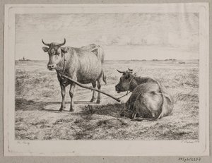 Dos vacas unidas de Andreas Peter Madsen