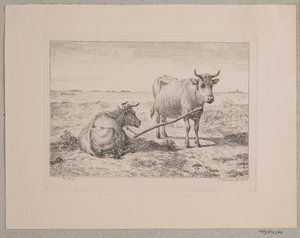 Dos vacas unidas de Andreas Peter Madsen