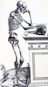 Esqueleto humano con calavera en la mano. De 