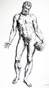 Las Placas del Séptimo Libro de De Humani Corporis Fabrica