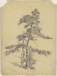 Árboles, Virginia Occidental