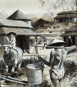 Agricultura en China (gouache sobre papel) de Andrew Howat