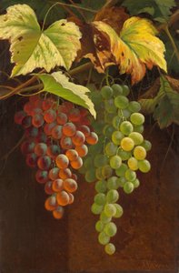Dos racimos de uvas, s.f. (óleo sobre lienzo) de Andrew John Henry Way