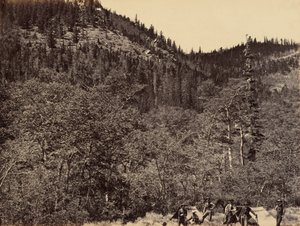 Lámina 19. Entre la madera en la cabecera del río Little Laramie,1869 (foto) de Andrew Joseph Russell