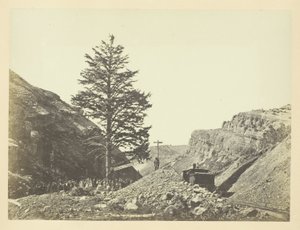 Árbol de las Mil Millas, Paso de Wilhelmina de Andrew Joseph Russell