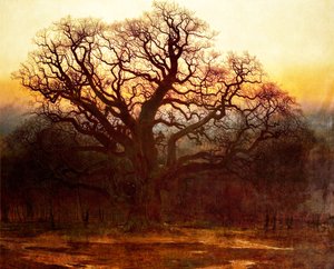 Major Oak, Bosque de Sherwood, Nottinghamshire, 1882 de Andrew MacCallum