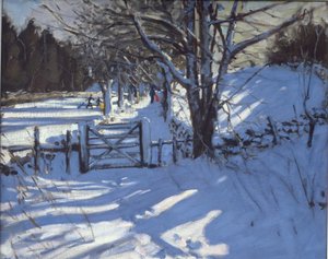 Puerta cerca de Youlgreave, Derbyshire de Andrew Macara