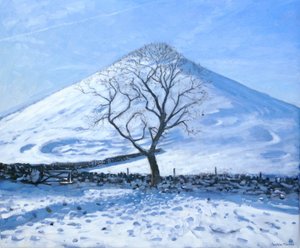 Colina y árbol, Derbyshire, 2008 de Andrew Macara