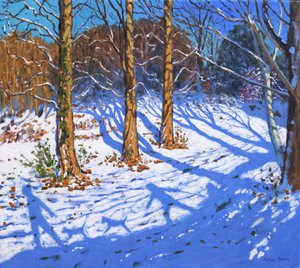 Nieve de noviembre, Allestree Park, Derby, 2017 de Andrew Macara