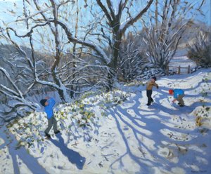 Pelea de bolas de nieve, 2007 de Andrew Macara
