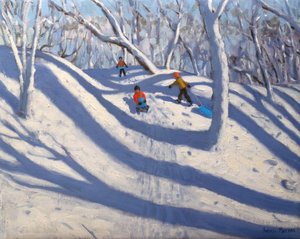 Invierno, Bramcote, Nottingham de Andrew Macara