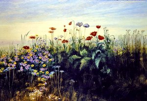 Flores silvestres de Andrew Nicholl