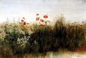 Flores silvestres junto a un arroyo