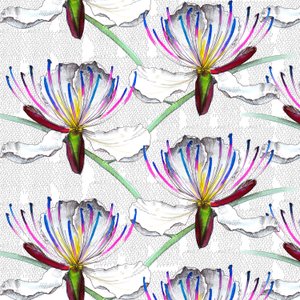 Flores de alcaparra de Andrew Watson