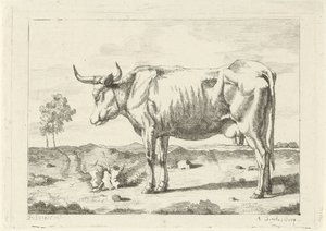 Vaca en el pasto