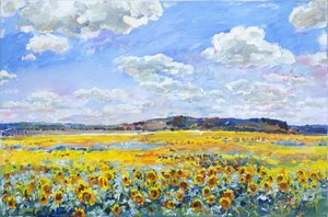 Campo de girasoles bañado por el sol