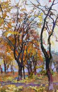 Bosques otoñales llenos de color de Andrii Kutsachenko