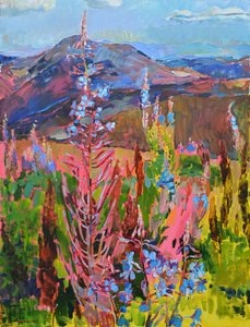 Flores de montaña de vivos colores