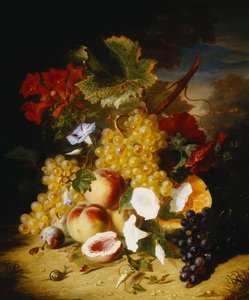 Duraznos, uvas, un melón, convolvulus y otras flores en un paisaje