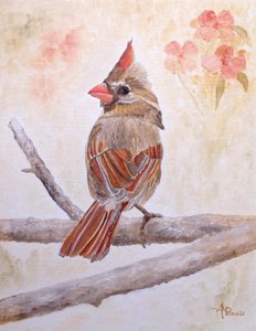  de Angeles M. Pomata