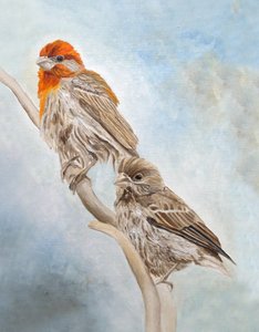 de Angeles M. Pomata
