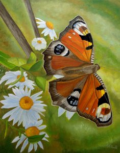  de Angeles M. Pomata