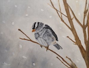  de Angeles M. Pomata