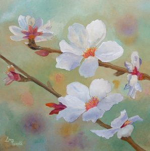 Flores de almendro blancas