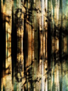 Resumen: Sombras del bosque de Angelo Cerantola