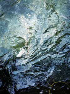 Ondas que fluyen en el agua de Angelo Cerantola