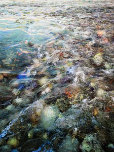 El caudal del río de Angelo Cerantola