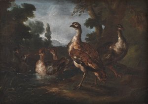 Paisaje con pájaros