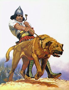 Perro de batalla asirio (litografía en color)