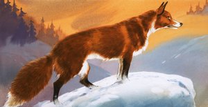 Zorro en la nieve de Angus McBride