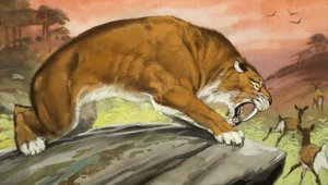 Tigre dientes de sable de caza de Angus McBride
