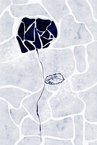Resumen: La rosa azul de Ankie Kooi