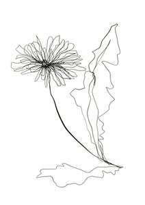 Dibujo lineal de un diente de león de Ankie Kooi