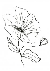 Dibujo de una flor delicada de Ankie Kooi