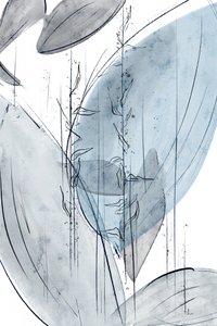 Gentle Blue Botanicals de Ankie Kooi