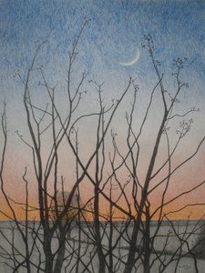 Desde mi Ventana, 2011