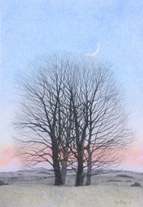 Luna Nueva, 2011